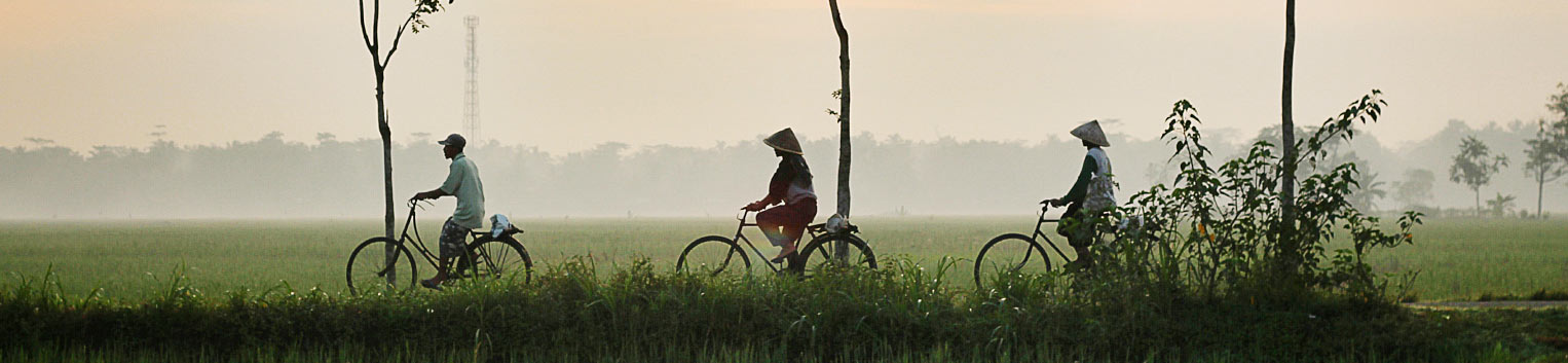 People Riding Bicycles People Riding Bicycles