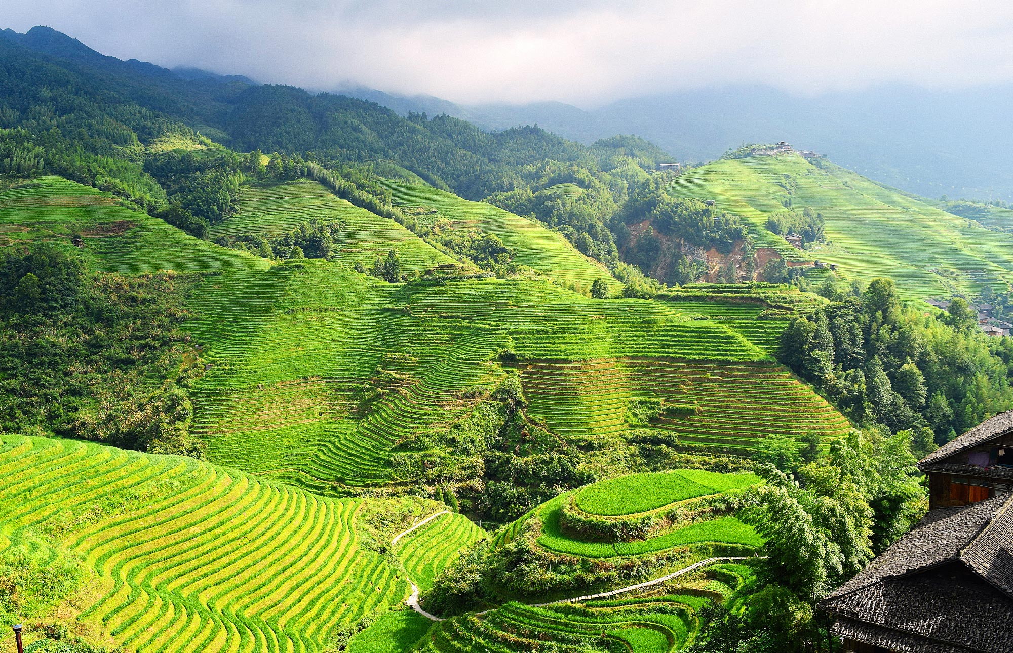 Rolling Hills Rolling Hills