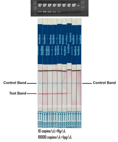 Control Band Strip