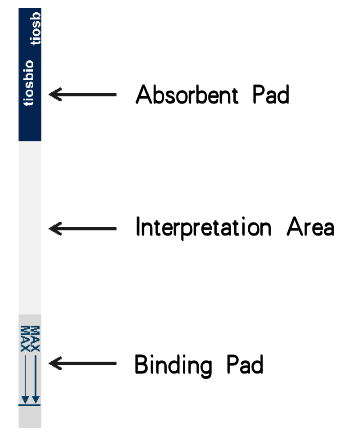 Schematic diagram of the structure